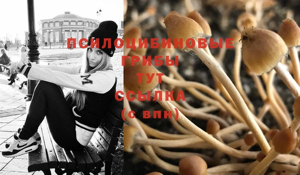 кокаин Великий Новгород