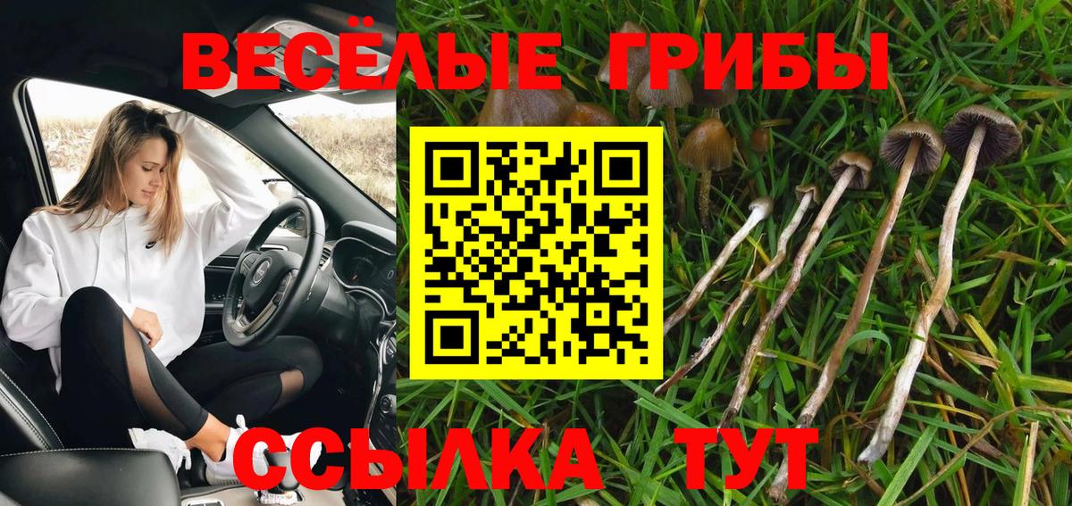 Галлюциногенные грибы мухоморы Усть-Лабинск