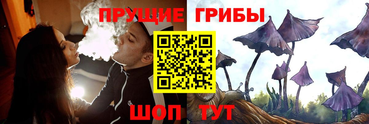где купить наркоту  Псилоцибиновые грибы MAGIC MUSHROOMS  Вход с VPN  Усть-Лабинск  Галлюциногенные грибы прущие грибы 